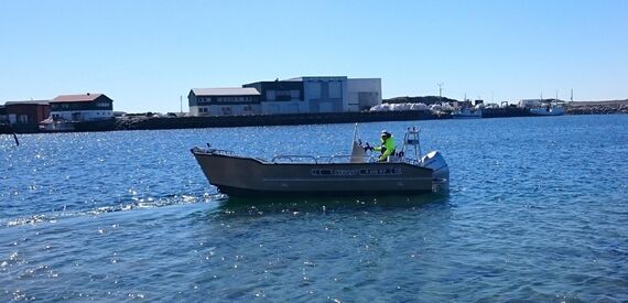 MS BOAT 4 MS BOAT 4